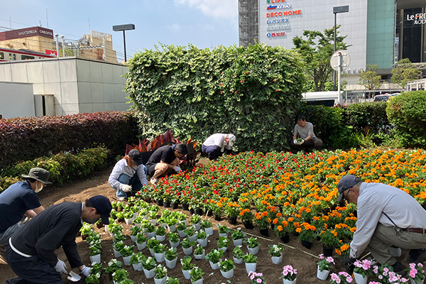 川崎駅前花壇整備ボランティア活動