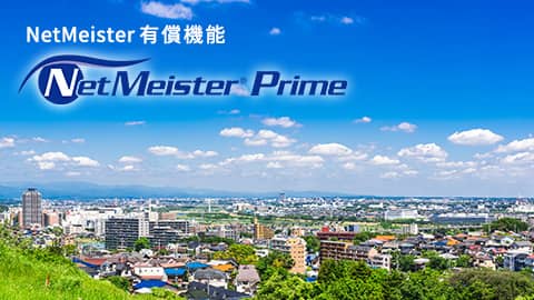NetMeister Prime